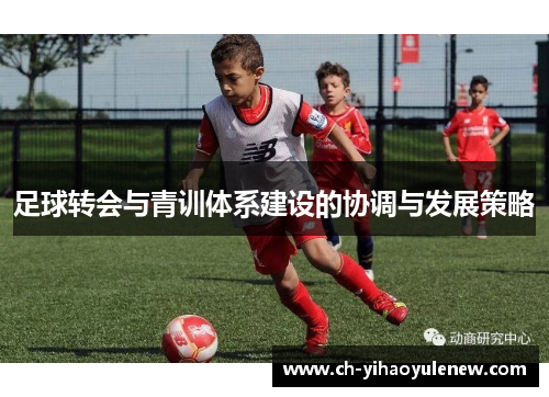 足球转会与青训体系建设的协调与发展策略